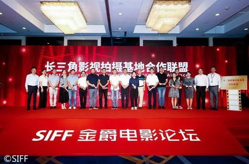 我的前半生 无名 繁花 阿拉上海 出镜率 为啥那么高