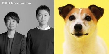 汪星人的住房需求，你懂吗？电影摄制服务的视角