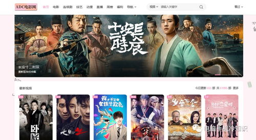 8大超牛的精品影视网站 免费资源与低调使用的全面指南，附带电影摄制服务推荐