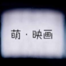 POCO摄影 用光影叙事，打造专属的电影级影像体验